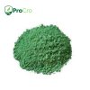 COPPER OXYCHLORIDE WP